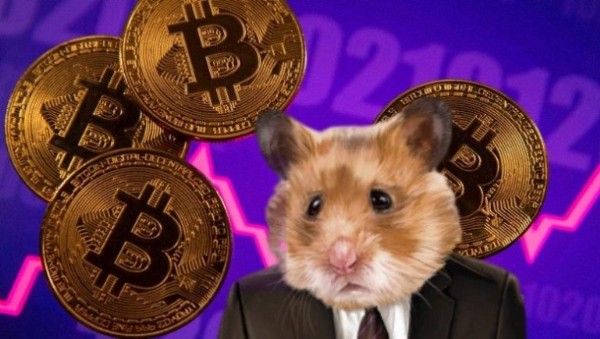 Hamster Coin Nedir? Hamster Coin nasıl alınır? Hamster Coin Nedir? Hamster Coin nasıl alınır?